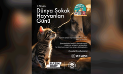 Kurt: Gelin daha fazla cana yuvalık olalım