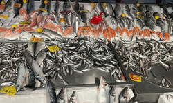 Serin hava balık tezgahlarına yaradı