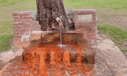 Şişesini alan koşuyor: Eskişehir’de maden suyu çeşmesine yoğun ilgi