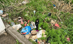 Sokak hayvanları için bırakılan mamalar çöp içinde kaldı