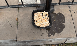 Sokak hayvanları için bırakıldı ama tepki çekti