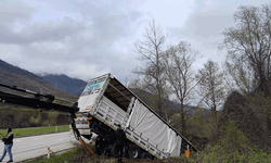 Tokat'ta tır devrildi: 3 kişi yaralandı, 6 hayvan telef oldu