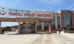 Tunceli'de Gülistan Doku soruşturmasında 2 kişiye gözaltı
