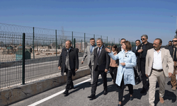 Vali Yılmaz ve Başkan Ünlüce hayvan bakımevini ziyaret etti