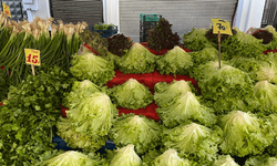 Yeşillik tezgahı el yakıyor