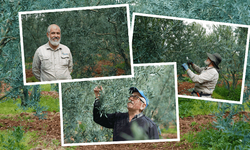 Zeytinyağında Eskişehir imzası: Dorlion zirveye oynuyor