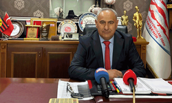 Çelik: İlk giden gurbetçiler daha çok yatırım yapıyordu: Düzen değişti