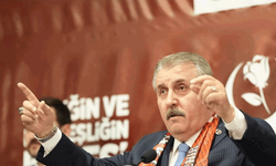 Destici: “Çocuklarımızın hayatı başıboş köpeklerden daha mı değersiz?”