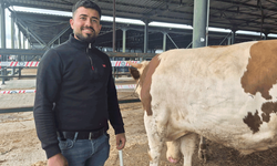 Eskişehir Hayvan Pazarı’nın şampiyon danası görücüye çıktı