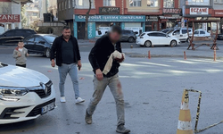 Kayseri'de acemi kasaplar hastaneye koştu