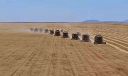 Kırsal kalkınma yatırımlarına dev bütçe