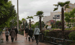 Köprübaşı palmiyelerle süslendi
