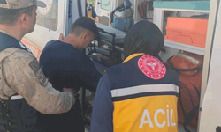 Şanlıurfa'da kaybolan çocuk fıstık bahçesinde bulundu