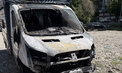 Siirt'te park halindeki kamyonet yandı