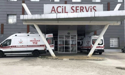 Tekirdağ'da arı saldırısına uğrayan yaşlı çift hastanelik oldu