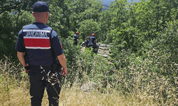 Bilecik'te direksiyon hakimiyetini kaybeden sürücü ormanlık alana uçtu: 1 yaralı