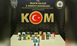 Bilecik'te kaçakçılık operasyonu: 1 şüpheli yakalandı