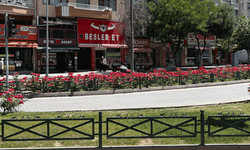Eskişehir yazı rengârenk çiçeklerle karşıladı