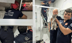 Eskişehir’de mahsur kalan minik kedi için seferberlik