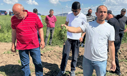 Eskişehir’de tarla krizi sürüyor: “İki ayrı kişiye kiralandı” iddiası