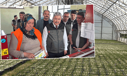 Eskişehir’den yangın bölgelerine gönderilen milyonlarca fidan nefes olacak