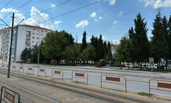 Eskişehirli vatandaşlardan ilaçlama talebi