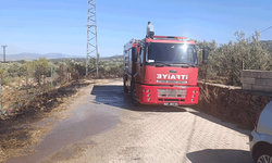 Gaziantep'te zeytinlik alanda yangın