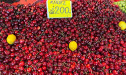 Geçen yılın en pahalı meyvesi kirazın fiyatı düştü
