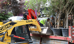 İsmet İnönü 1 Caddesi zakkum ağaçları ile süslendi