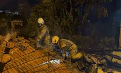İstanbul’da 3 gecekondu alevlere teslim oldu