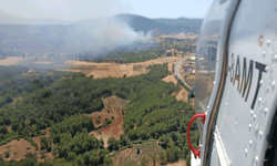 Muğla Seydikemer'de orman yangını