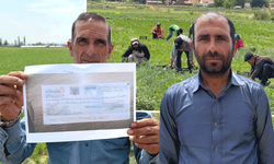 Sahte çek iddiası: Eskişehir’de mevsimlik işçiler aylardır paralarını bekliyor
