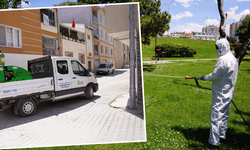 Tepebaşı’nda haşereyle mücadele çalışmaları
