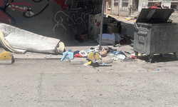 Tepebaşı’nda mahalle sakinleri kötü koku ve sineklerden dertli