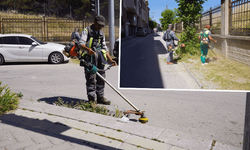Tepebaşı’nda yağışların ardından kaldırım otlarına karşı temizlik çalışmaları