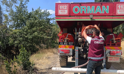 Afyon'da ot yangını paniğe neden oldu