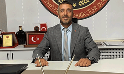 Arnik: Krediye en çok ihtiyacı olan esnaf, şartlara takılıyor