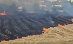 Elazığ'da 19 yangın kontrol altına alınarak söndürüldü