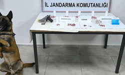 Eskişehir jandarmasından zehir tacirlerine operasyon: 1 tutuklama
