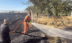 Eskişehir'de korkutan anız yangını