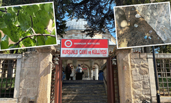Eskişehir’in 5 asırlık mirası korunma ve bakım bekliyor
