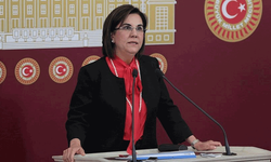 Gaye Usluer’e CHP’de yeni görev