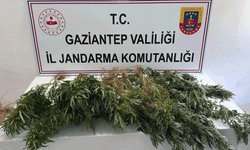Gaziantep jandarmadan uyuşturucu operasyonu