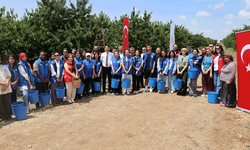 Gönüllü Hasat Etkinliği Mihalıççık'ta gerçekleştirildi