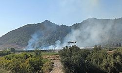 Muğla’da tarım alanındaki yangın kısa sürede söndürüldü
