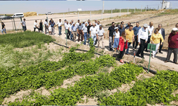 Odunpazarı Belediyesi'nden çiftçiye bilim destekli tarım hamlesi
