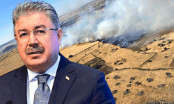 Vali Yılmaz : Seyitgazi'deki yangına yoğun müdahale sürüyor