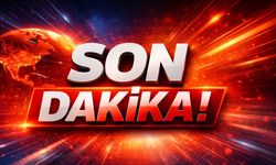 Alihan Kuriş suç örgütüne operasyon: 49 gözaltı