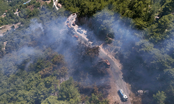 Antalya'da orman yangını 3 saatte kontrol altına alındı