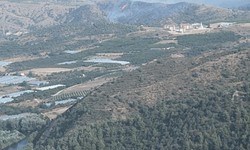 Bilecik’te orman yangını kontrol altına alındı